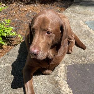 Meet your Posher, Briana